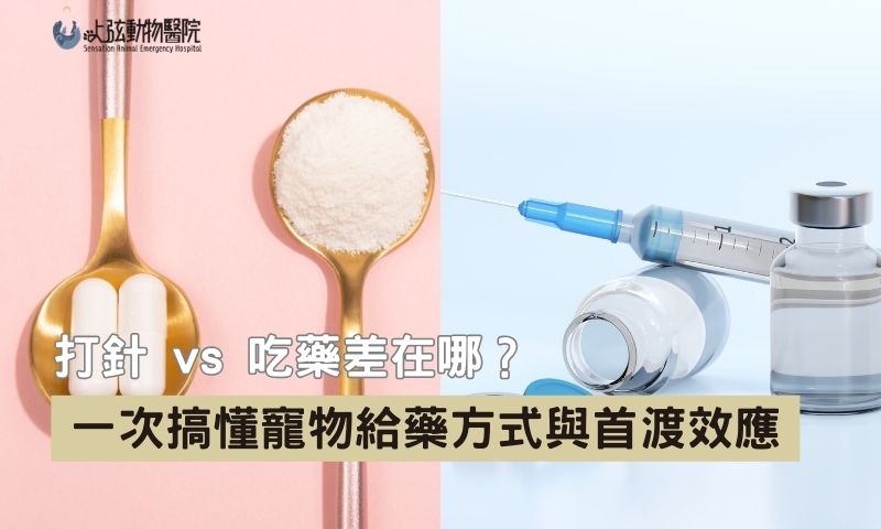 為什麼獸醫有時打針、有時給口服藥？全是因為首渡效應！
