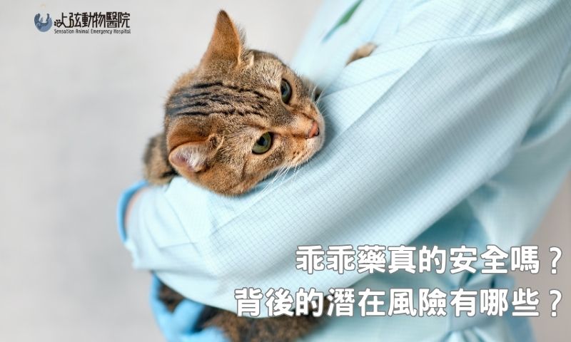 不是吃了就沒事!毛孩吃了乖乖藥副作用你要知道!