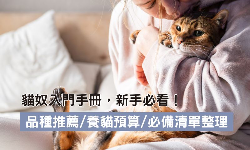 第一次養貓？新手養貓準備清單＋品種排行