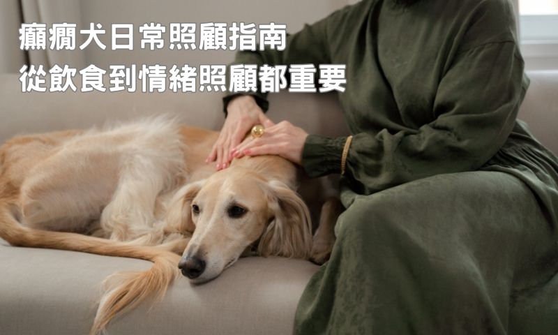毛孩癲癇別慌!狗狗癲癇Q&A懶人包