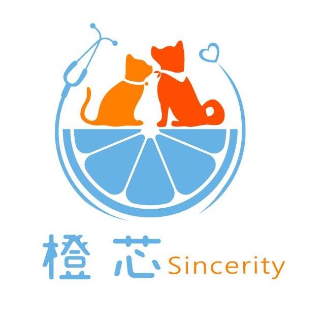 板橋動物醫院推薦：橙芯動物醫院