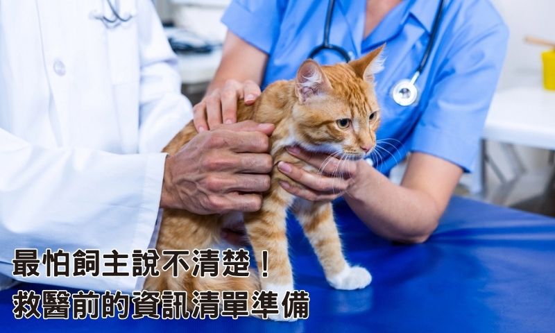 這3件事飼主講得清，急診就能多省5分鐘！
