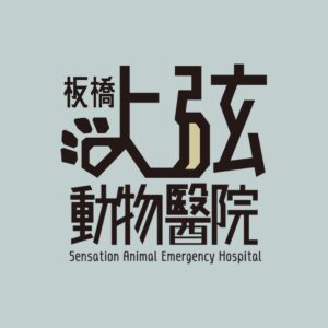 板橋動物醫院推薦：上弦動物醫院