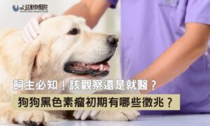 狗狗黑色素瘤年輕化？狗黑色素瘤壽命只有幾個月？關鍵在發現時間