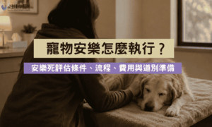 寵物安樂死怎麼執行？評估條件、流程、費用與道別準備 