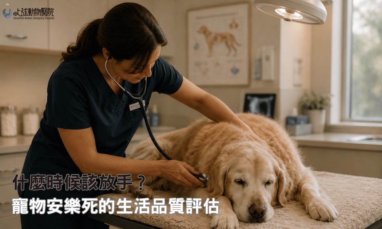 什麼時候該放手？寵物安樂死的生活品質評估
