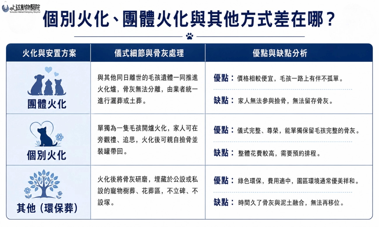 個別火化、團體火化與其他方式差在哪？ 