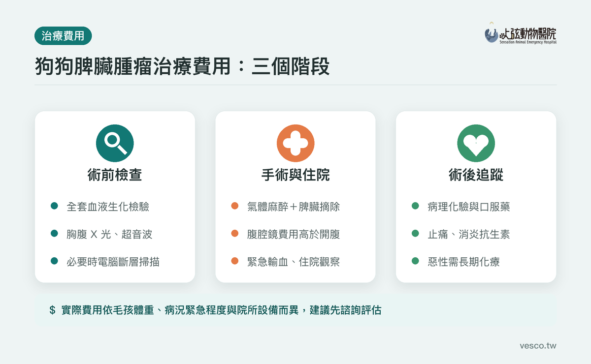 狗脾臟腫瘤治療費用三階段:術前檢查、手術住院與術後追蹤
