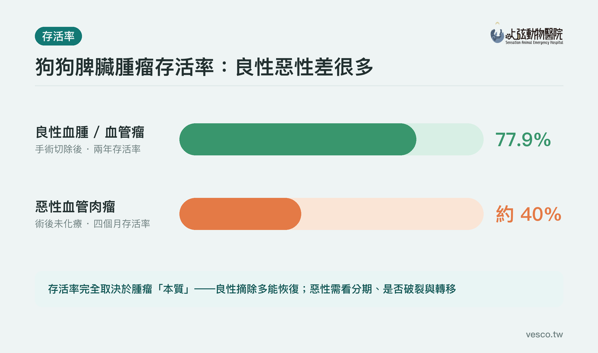 狗狗脾臟腫瘤存活率比較:良性兩年約77.9%、惡性血管肉瘤約40%