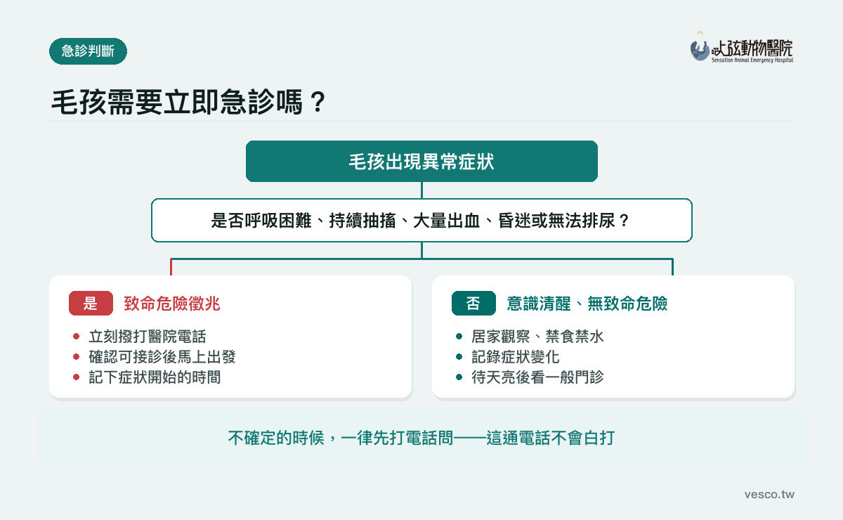 寵物急診判斷流程圖:出現異常症狀後先判斷是否有呼吸困難、持續抽搐、大量出血、昏迷或無法排尿,是則立刻致電並出發,否則居家觀察禁食禁水待天亮就診