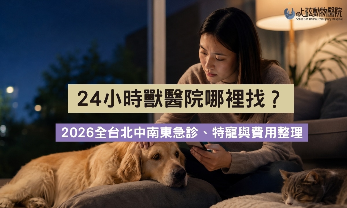 女性飼主在夜晚的客廳一手安撫黃金獵犬、一手拿手機查詢,旁邊有一隻虎斑貓,畫面呈現深夜尋找24小時獸醫院的情境