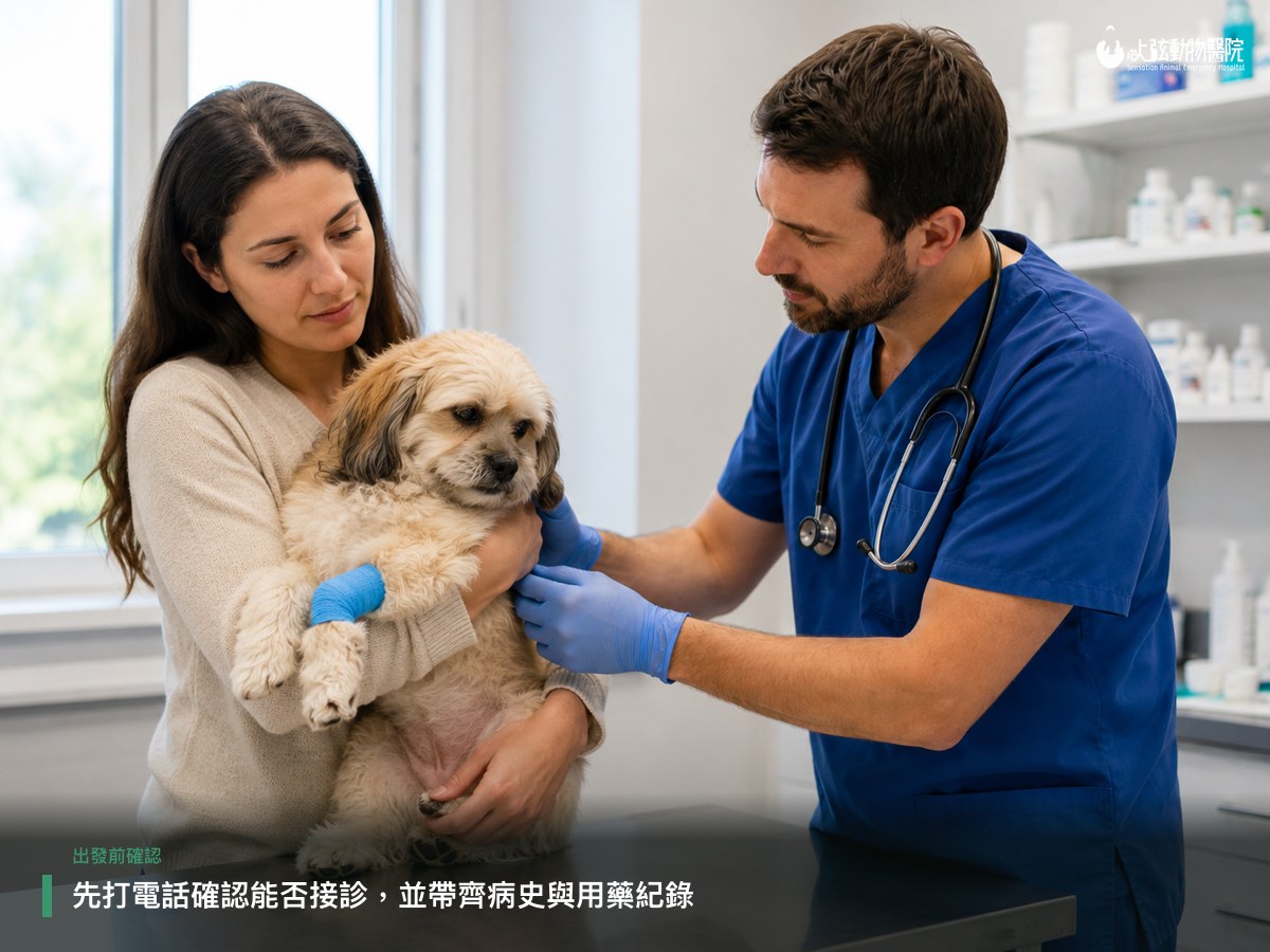 飼主抱著小型犬讓獸醫師檢查前肢,醫師戴手套仔細觸診,呈現急診到院後的看診情境