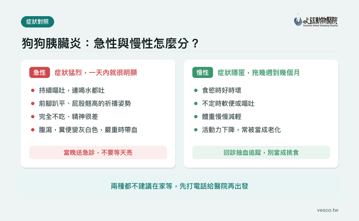 狗狗急性與慢性胰臟炎症狀對照圖，左邊急性列出持續嘔吐、祈禱姿勢、完全不吃、腹瀉，右邊慢性列出食慾時好時壞、不定時軟便、體重減輕